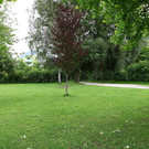 normal_12062012fmt_drhanslechnerplatz_mw_09.JPG