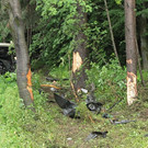 Bilder der Unfallstelle