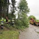 normal_13062012vubgl3de01001aktivnews_179.jpg