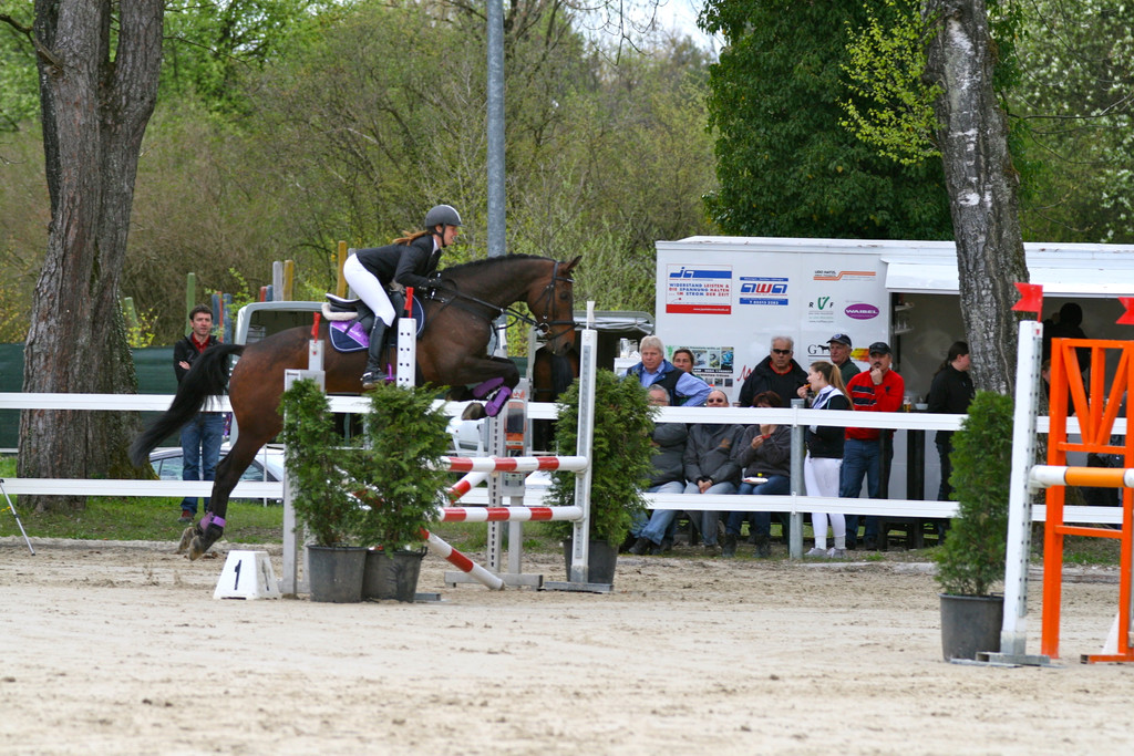 IMG_4370_jpg-1339612175