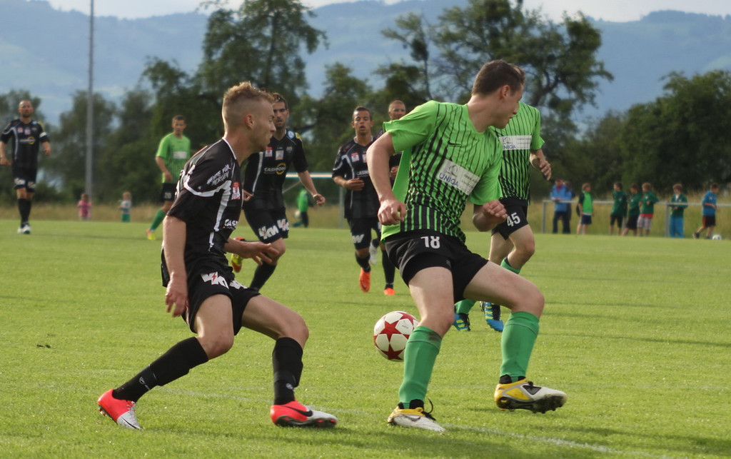 Sulz - A_ Altach 2012 175.jpg