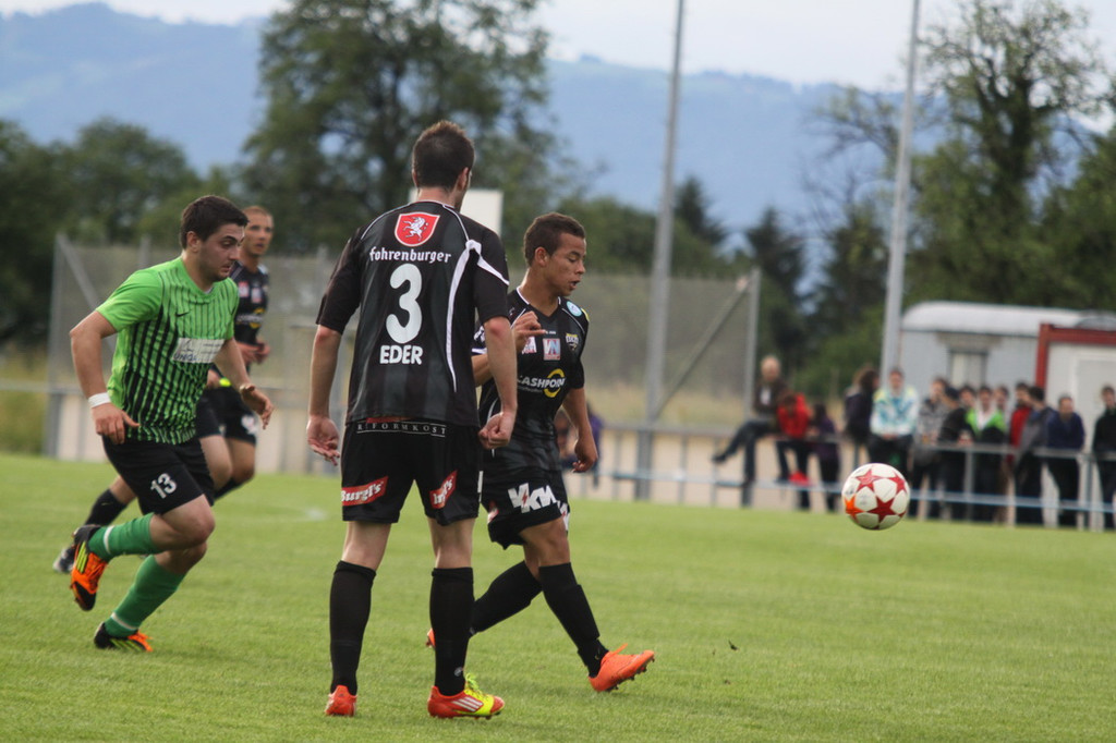 Sulz - A_ Altach 2012 309.jpg