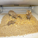 114_9636_JPG-1339627892