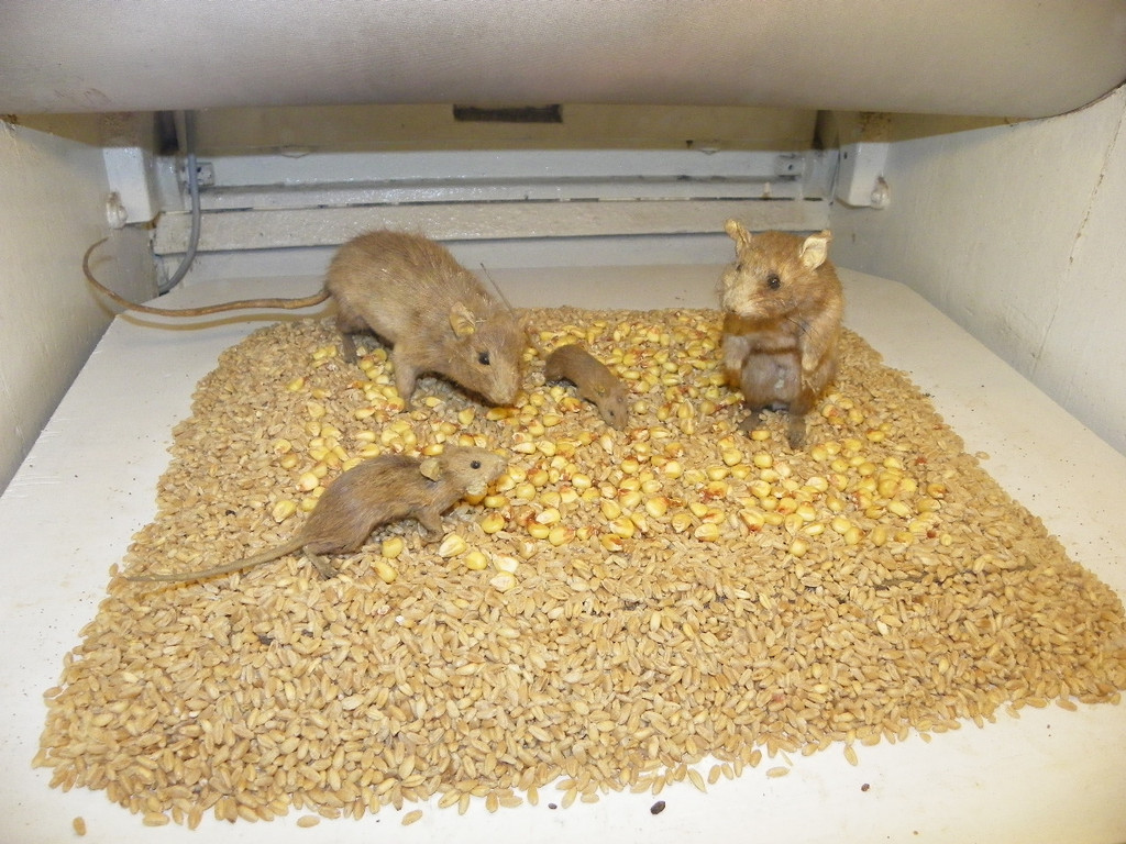 114_9636_JPG-1339627892