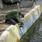 114_3459_JPG-1339629494