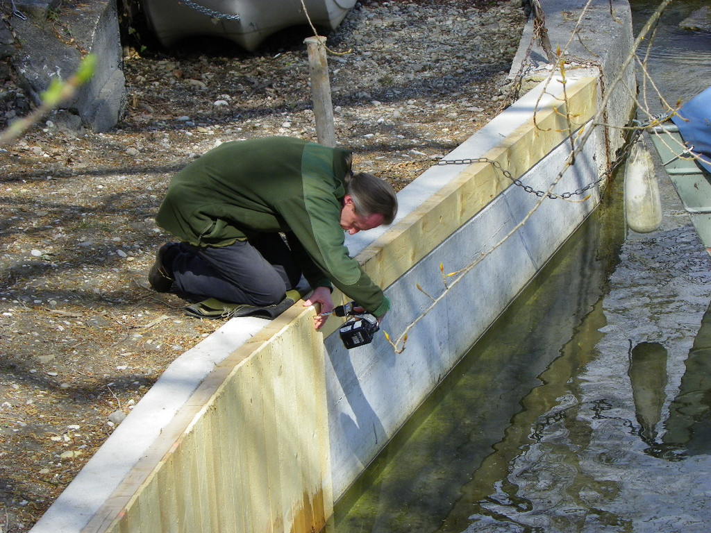 114_3459_JPG-1339629494