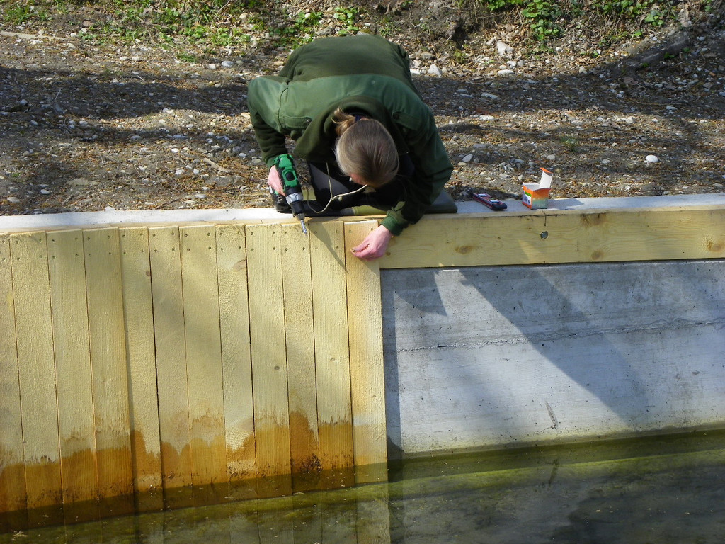 114_3461_JPG-1339629501