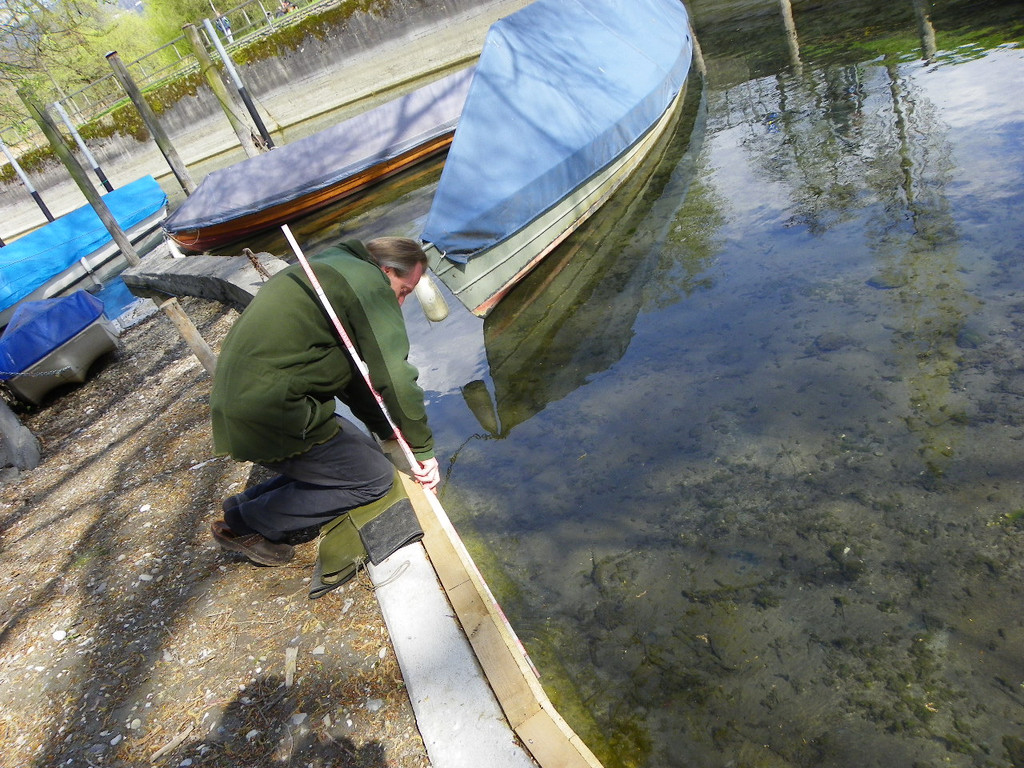 114_3468_JPG-1339629526