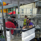 114_9896_JPG-1339632003