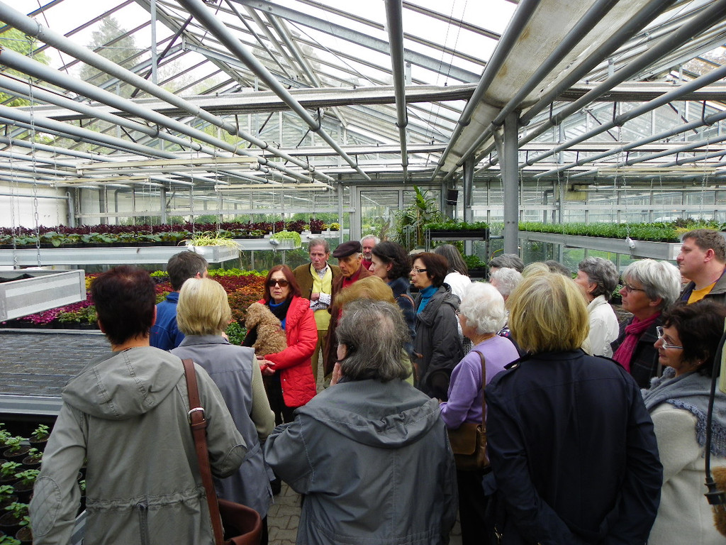 110_1970_JPG-1339633469