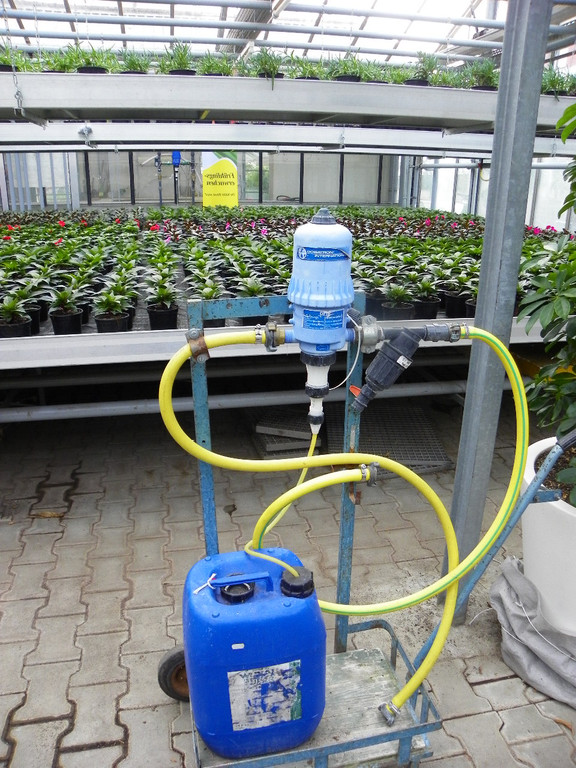 110_1973_JPG-1339633476