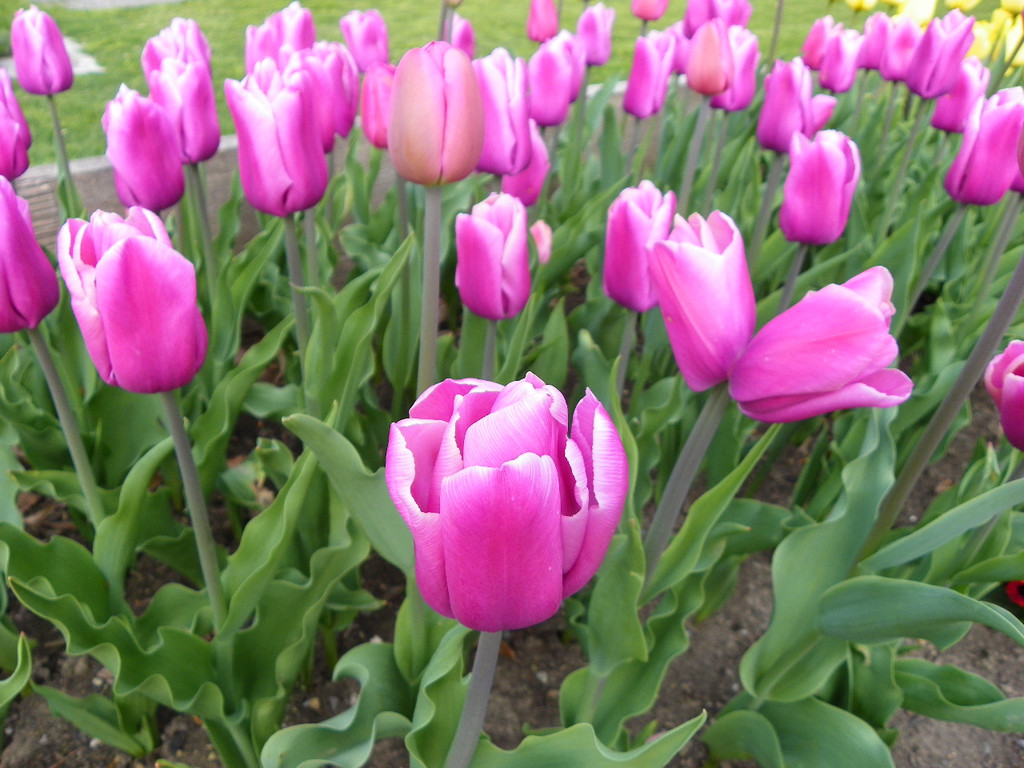 110_2070_JPG-1339633530