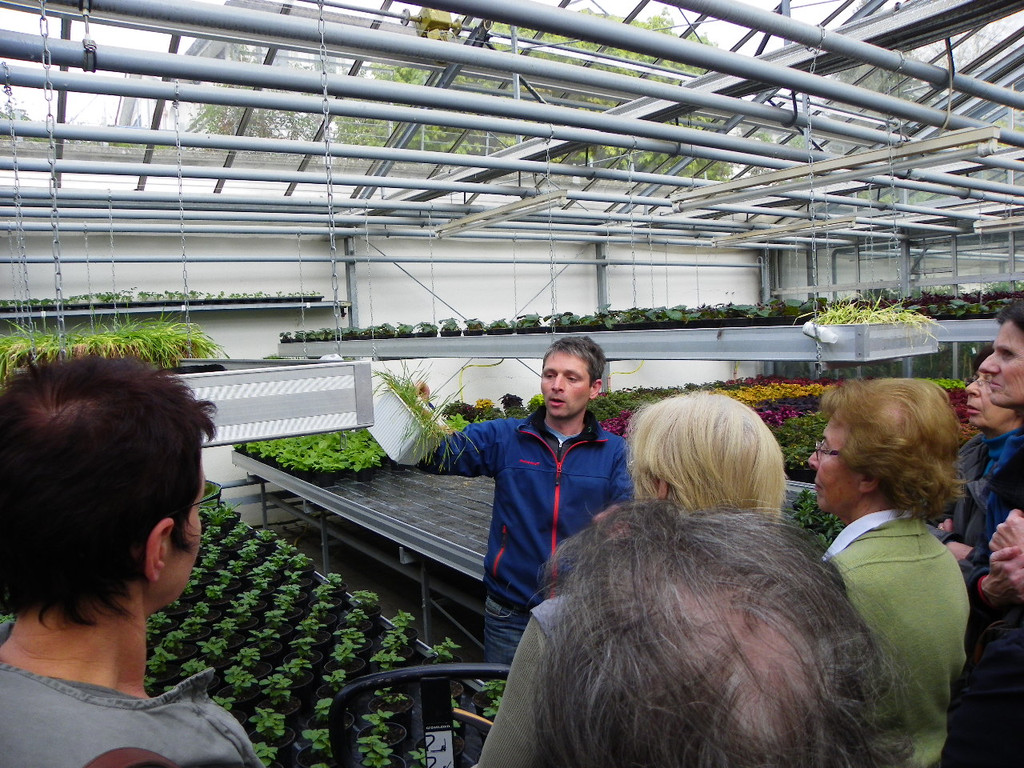 110_1980_JPG-1339633482