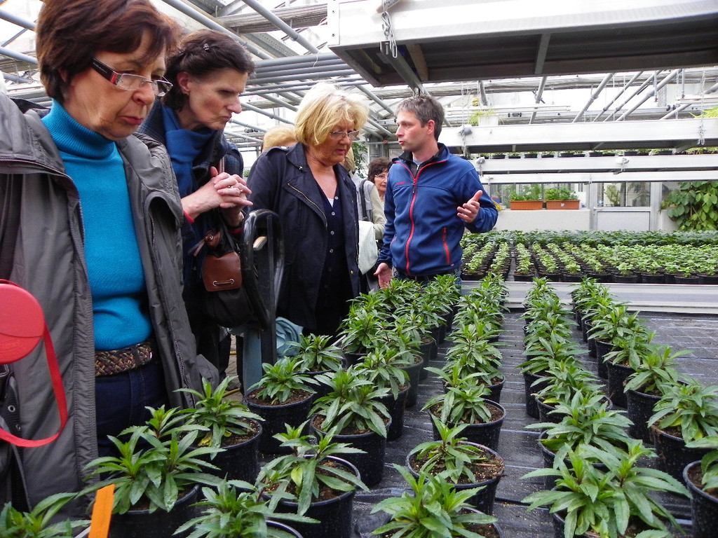 110_1984_JPG-1339633488