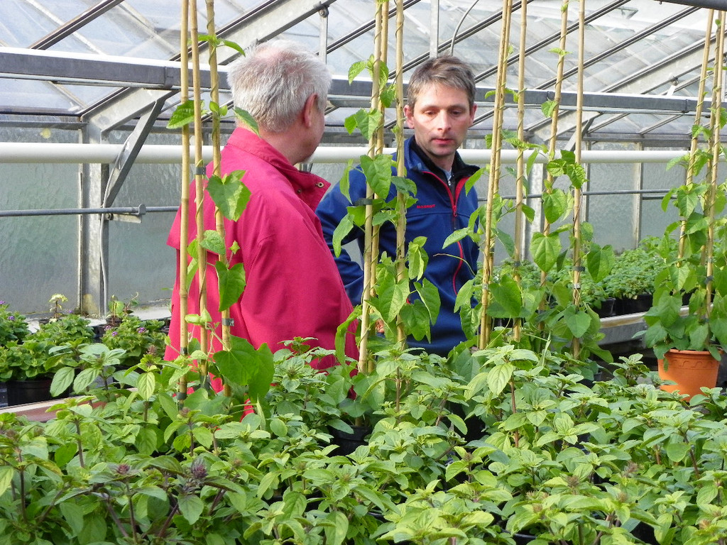 110_2028_JPG-1339633507