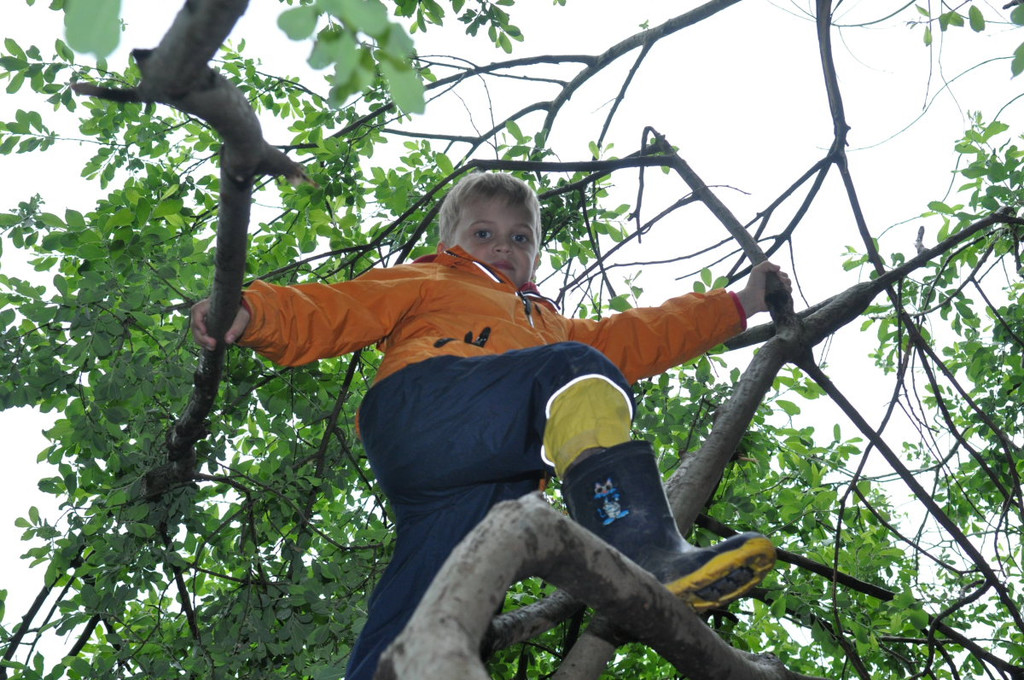 KindergartenWaldtag38.JPG