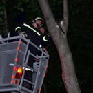 Tierrettung_FF_Neunkirchen-10.JPG
