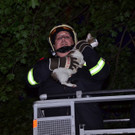 Tierrettung_FF_Neunkirchen-12.JPG