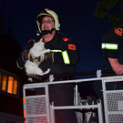Tierrettung_FF_Neunkirchen-14.JPG