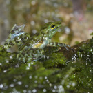 ABD0015-20120615.jpg