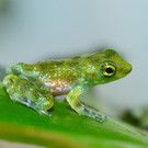 ABD0016-20120615.jpg