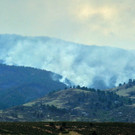 IBD1481-20120612.jpg