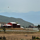 IBD1206-20120612.jpg