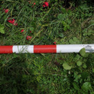 ABD0095-20120612.jpg