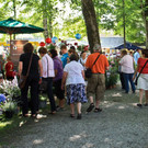 Rosentage in Traunstein