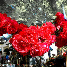 normal_15062012fmt_rosentageints_st_005.jpg