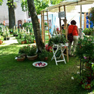 normal_15062012fmt_rosentageints_st_006.jpg