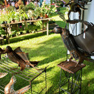 normal_15062012fmt_rosentageints_st_008.jpg