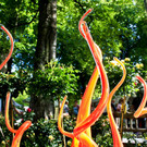 normal_15062012fmt_rosentageints_st_011.jpg