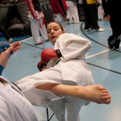Austria Karate Championscup 2010 in Hard