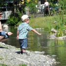Klares Wasser statt trüber Brühe im Dorfbach