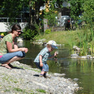 Dorfbach Hard 16-06-2012 20_jpg-1339872489