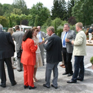 sulz11.jpg