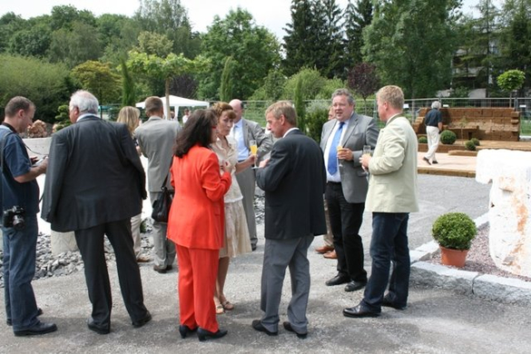 sulz11.jpg