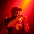 11763406.jpg