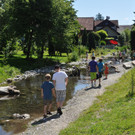 dorfbach7_jpg-1339939246