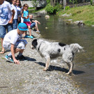 hund_jpg-1339939476