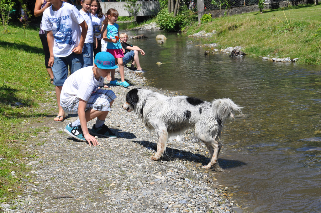 hund_jpg-1339939476