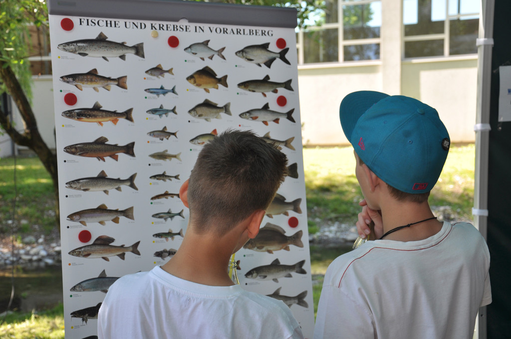 infostand_jpg-1339939492