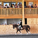 Hoferstall Fest 16-06-2012 300_jpg-1339943074