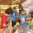 DSCN5486_JPG-1339945094