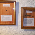 DSCN5529_JPG-1339947071