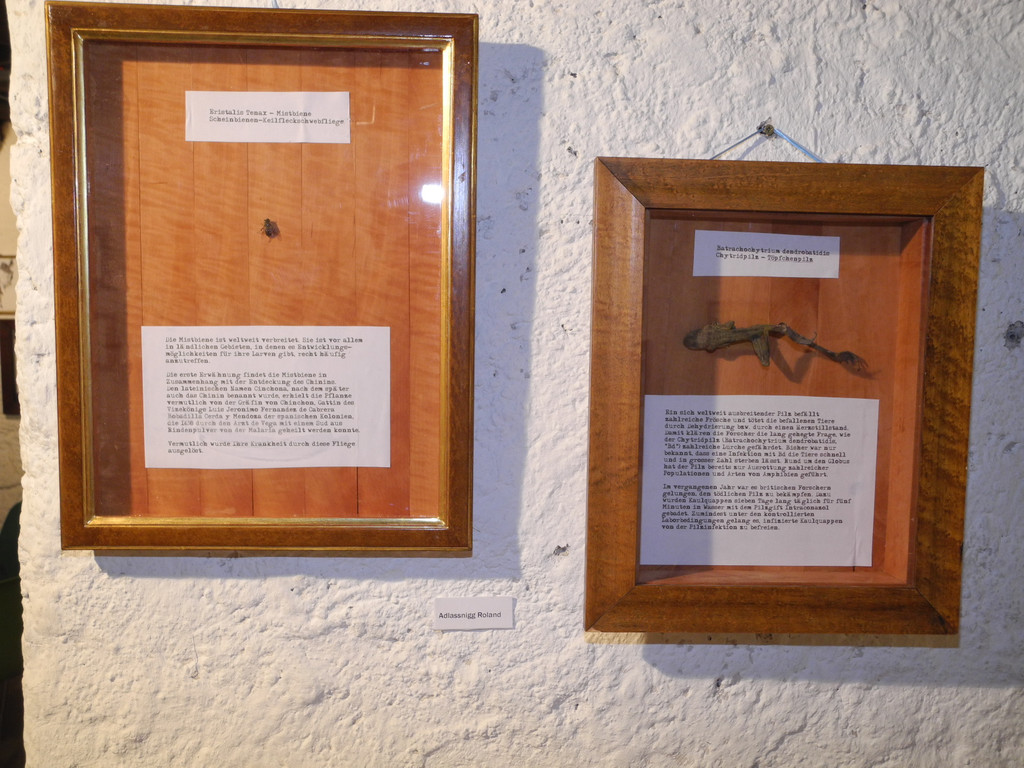 DSCN5529_JPG-1339947071