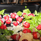 DSCN5539_JPG-1339947241