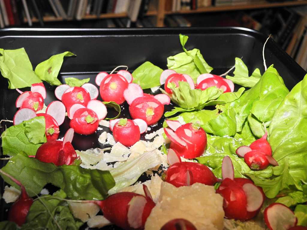 DSCN5539_JPG-1339947241