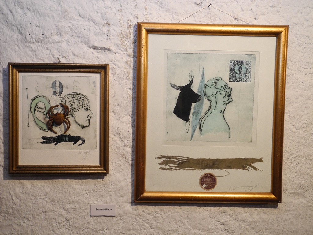 DSCN5546_JPG-1339947381